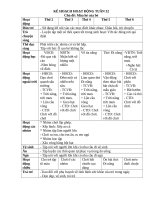 TUẦN 32 các HOẠT ĐỘNG TRONG mùa hè chưa in 