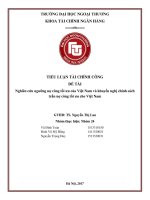 (Tiểu luận FTU) nghiên cứu ngƣỡng nợ công tối ƣu của việt nam và khuyến nghị chính sách trần nợ công tối ƣu cho việt nam 