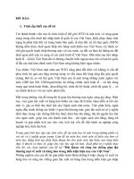 Hải quan với công tác chống gian lận thương mại về xuất xứ hàng hóa trong điều kiện hiện nay của việt nam 