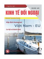 (Tiểu luận FTU) HIỆP ĐỊNH THƯƠNG mại tự DO VIỆT NAM – EU cơ hội và THÁCH THỨC đối với VIỆT NAM 