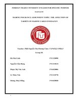 (Tiểu luận FTU) tiểu luận FTU the affection of tariffs on marine cargo insurance 
