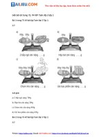 Tải Giải VBT Toán lớp 3 trang 73, 74 Tập 1 Bài 63 đầy đủ