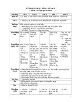 TUẦN 20 các LOẠI QUẢ bé THÍCH 