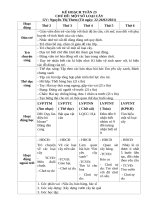 TUAN 23 một số LOẠI cây 