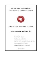 (Tiểu luận FTU) TIỂU LUẬN MARKETING căn bản MARKETING TOÀN cầu 