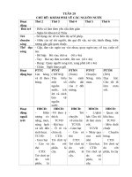 T29  nước  đã sữa 