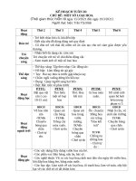 TUẦN 26   một số LOẠI HOA 