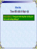 trao đổi chất ở thực vật