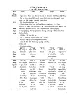 TUẦN 20  côn TRUNG 