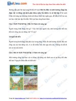 Tải Giải Tự nhiên và xã hội lớp 2 Chân trời sáng tạo Bài 16: Bảo vệ môi trường sống của thực vật và...