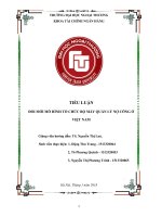 (Tiểu luận FTU) đổi mới mô hình tổ chức bộ máy quản lý nợ công ở việt nam bài 3 