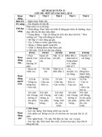 TUẦN  25  một số loại rau 