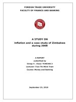 (Tiểu luận FTU) infltion and case study of zimbabwe during 2008 