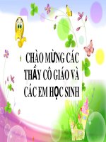 Bài giảng Toán 7 sách Chân trời sáng tạo: Ôn tập số hữu tỉ