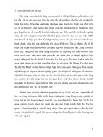 Phát triển hải quan điện tử ở việt nam trong điều kiện hiện nay 