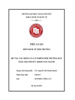 (Tiểu luận FTU) tác động của ô nhiễm môi trường đất ở hà nội đến sức khỏe con người 