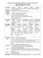 TUẦN 20  đv TRONG RỪNG  hà  DOC 