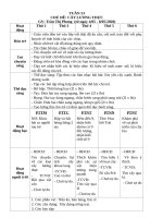 TUẦN 23   cây LƯƠNG THỰC 