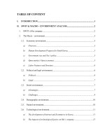 (Tiểu luận FTU) chiến lược thâm nhập thị trường hàn quốc của CTY bitis   hadi green 