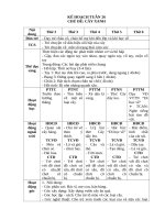 TUẦN 26  cây XANH 