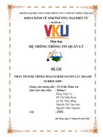 Môn học hệ THỐNG THÔNG TIN QUẢN lý đề tài PHÂN TÍCH hệ THỐNG HOẠCH ĐỊNH NGUỒN lực DOANH NGHIỆP (ERP) 