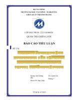 TIỂU LUẬN NGHIÊN cứu HOẠT ĐỘNG KINH DOANH của tập đoàn TRUNG NGUYÊN LEGEND tại THỊ TRƯỜNG VIỆT NAM 