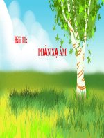 Bài giảng Sinh học 7 bài 11 sách Cánh diều: Phản xạ âm