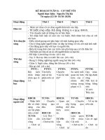 TUAN 6 CO THỂ tôi 