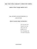 Môn hệ điều HÀNH WINDOWS và LINUXUNIX báo cáo bài THỰC HÀNH số 1 tạo một máy chủ window server với chức năng domain 