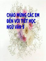 Su_dung_mot_so_bien_phap_nghe_thuat_trong_van_ban_thuyet_minh