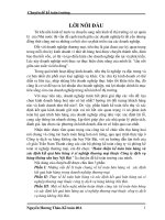 Hoàn thiện kế toán bán hàng và xác định kết quả bán hàng ở xí nghiệp thương mại thuộc công ty dịch vụ hàng không sân bay nội bài 