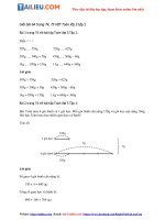 Tải Giải VBT Toán lớp 3 trang 74, 75 Tập 1 Bài 64 đầy đủ