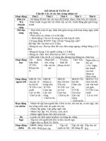 TUẦN 10 các cô các bác TRONG NHÓM TRẺ 