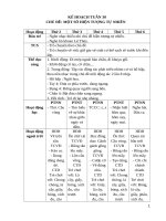 TUẦN 30  HIEN TUONG TU NHIEN 