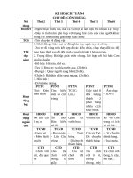 TUẦN 4  côn TRUNG 