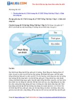 Tải Giải VBT Tiếng Việt lớp 3 Tiết 4 trang 46, 47 - Chân trời sáng tạo