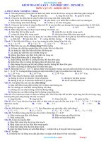  de thi giua HK1 LY 11 nam 2022 2023 de 2 