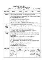 Giáo án  chủ đề mùa hè 