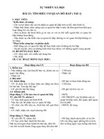 Giáo án tự nhiên và xã hội 2 sách kết nối tri thức với cuộc sống (cả năm) BAI 23, 24 