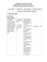 KẾ HOẠCH GIÁO dục CHỦ đề bác hồ 