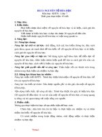 Giáo án Khoa học tự nhiên 7 bài 3 sách Kết nối tri thức: Nguyên tố hoá học