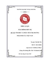 (Tiểu luận FTU) tìm HIỂU và PHÂN TÍCH THỊ TRƯỜNG PHÁI SINH của VIỆT NAM 