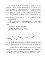 Thực trạng lạm phát ở việt nam và giải pháp kiềm chế lạm phát 