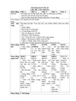 tuần 20    CON TRÙNG 