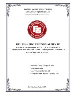 (Tiểu luận FTU) ỨNG DỤNG HOẠCH ĐỊNH NGUỒN lực DOANH NGHIỆP ( ENTERPRISE RESOURCE PLANNING   ERP) tại CÔNG TY cổ PHẦN đầu tư THẾ GIỚI DI ĐỘNG 