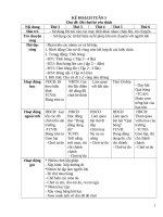 TUẦN 5  đô chơi bé thích 