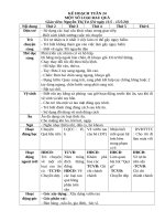 TUẦN 24 một số LOẠI RAU QUẢ 