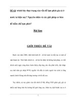 Trình bày thực trạng của vấn đề lạm phát gia cả ở nước ta hiện nay nguyên nhân và các giải pháp cơ bản để kiềm chế lạm phát 