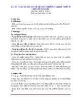 Giáo án Khoa học tự nhiên 7 bài 38 sách Kết nối tri thức: Thực hành quan sát mô tả sự sinh trưởng và phát triển ở một số sinh vật