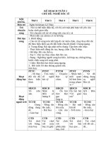 TUẦN 2  NGHỀ bác sĩ 